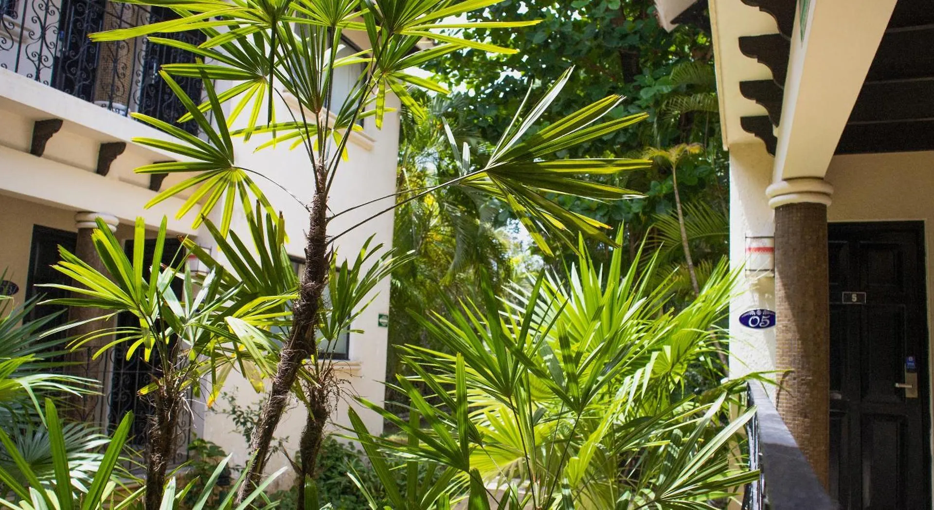 Nina Hotel Playa del Carmen